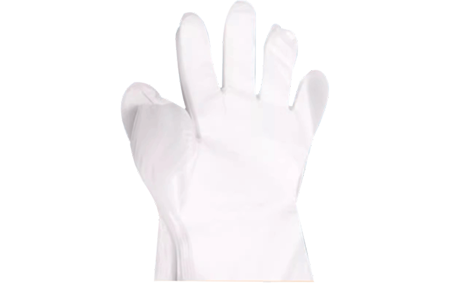 Disposable Gloves